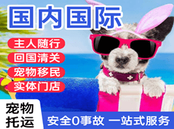 沧源佤山航空货运国际宠物托运 【国